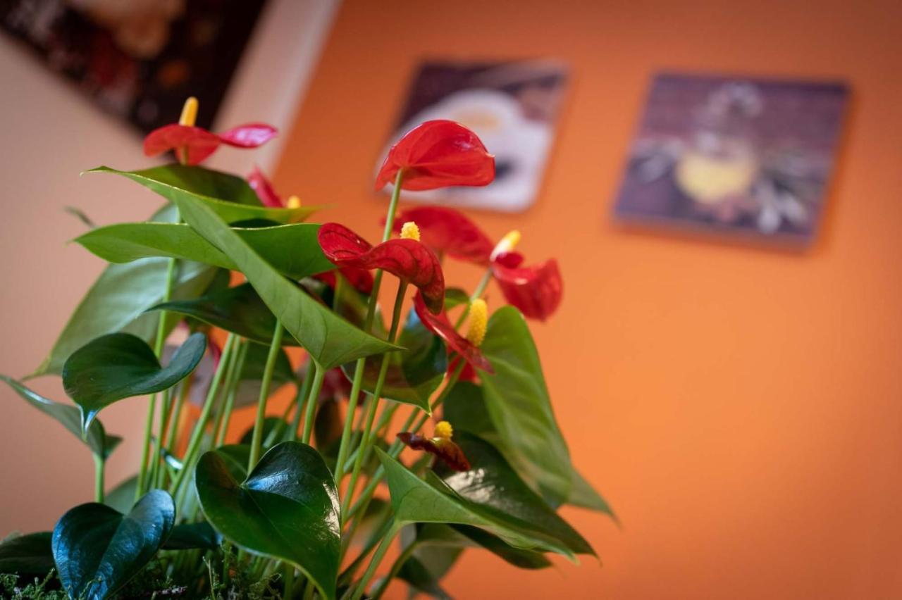 Casa Martina- Airport Free Shuttle-H24 Apartment แบร์กาโม ภายนอก รูปภาพ