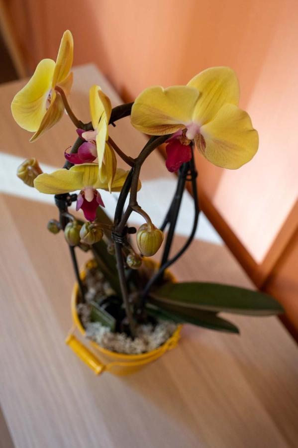 Casa Martina- Airport Free Shuttle-H24 Apartment แบร์กาโม ภายนอก รูปภาพ